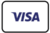 Visa Logo